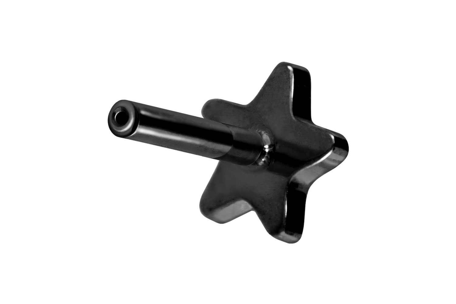 Titan Labret Piercing mit Push Fit ohne Kugel STERN